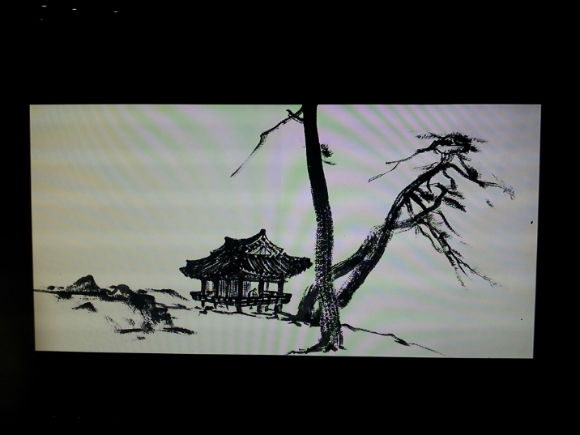 지중해소나무 이미지
