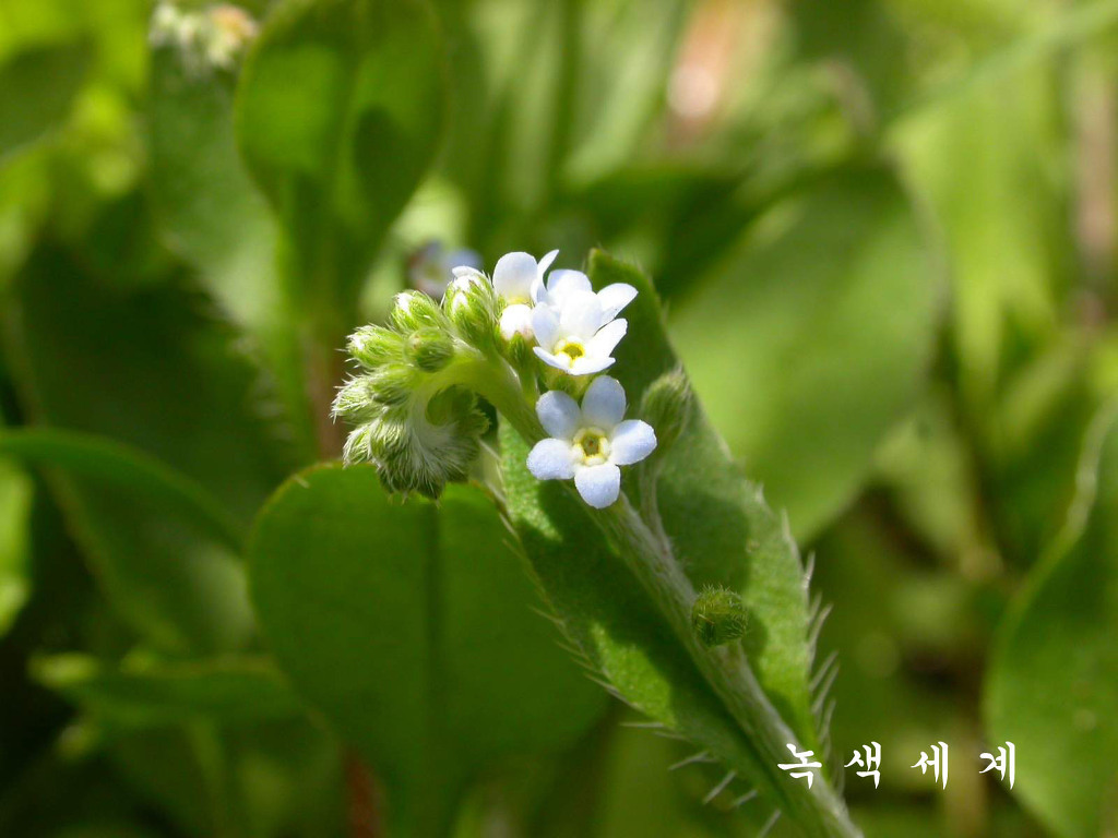이와같이 이미지