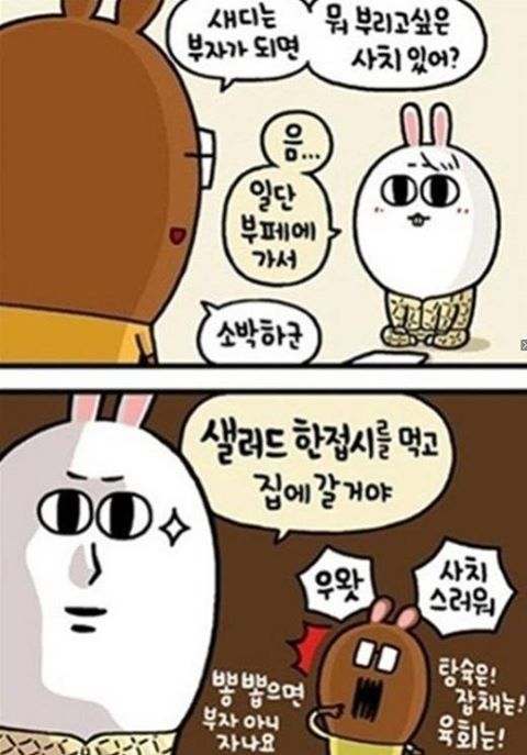 사치 이미지