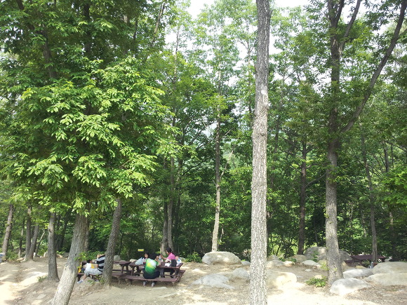 화명수목원 이미지