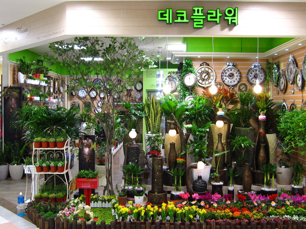 플러스화원 이미지
