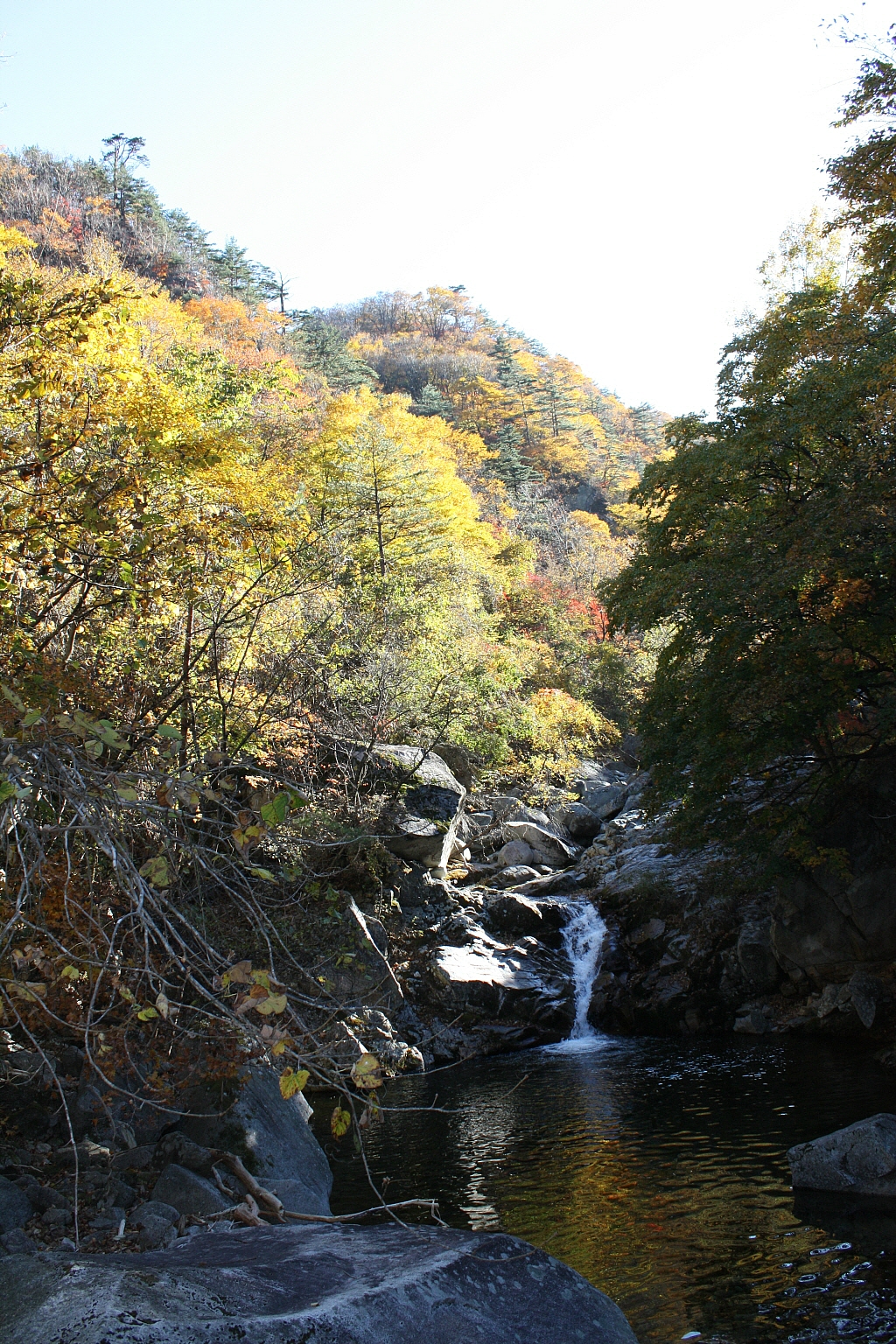 오대산 이미지