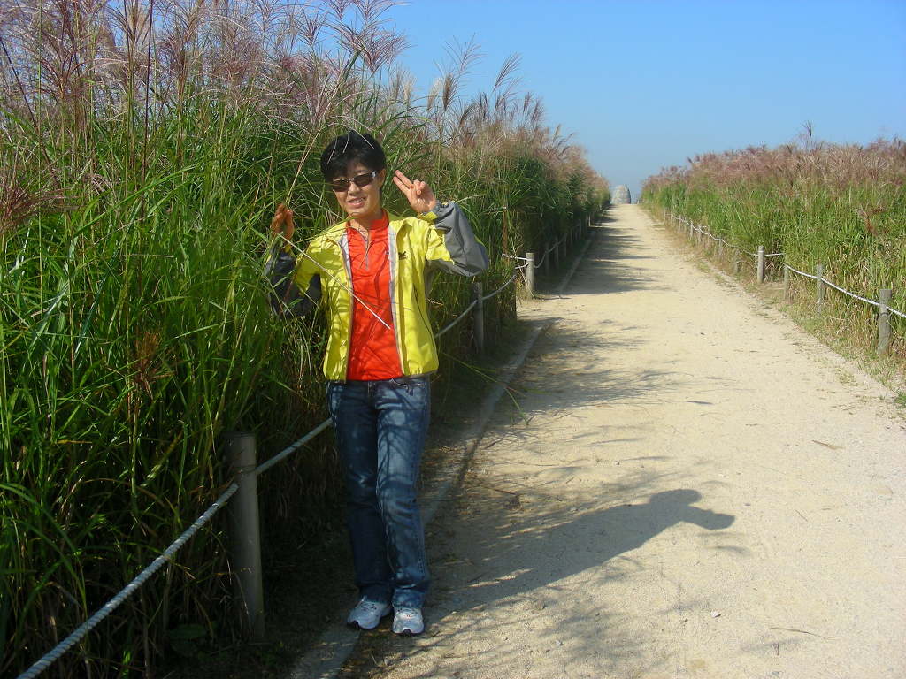 설울 이미지