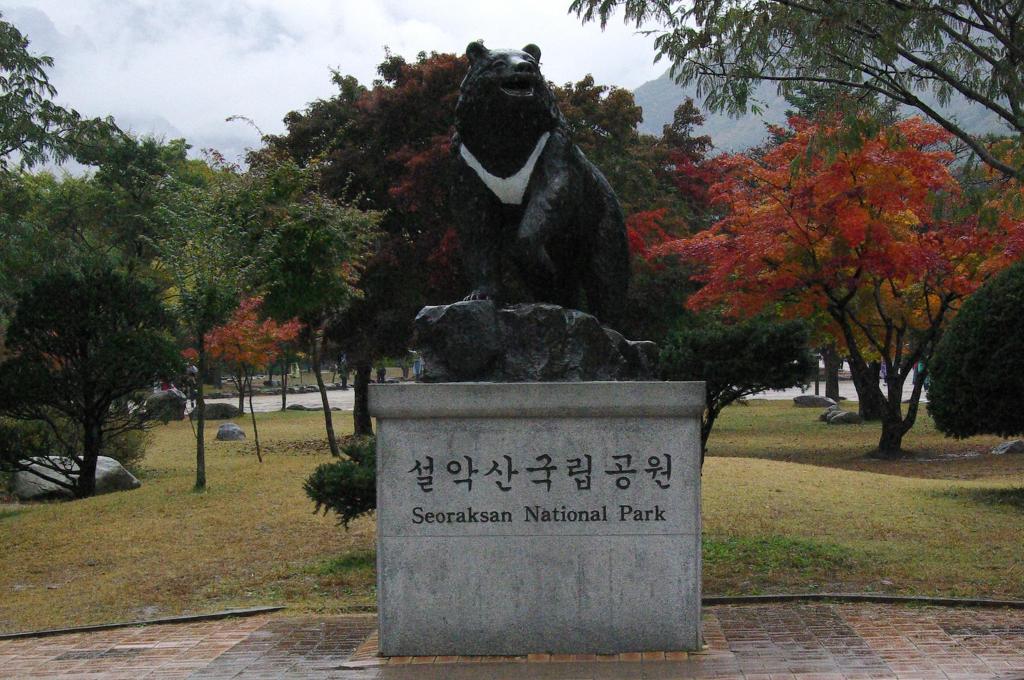 들무새 이미지