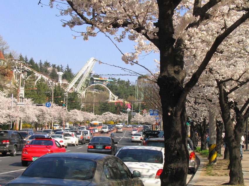 주관적인 대한민국에서 가장 살기좋은 도시 | 인스티즈