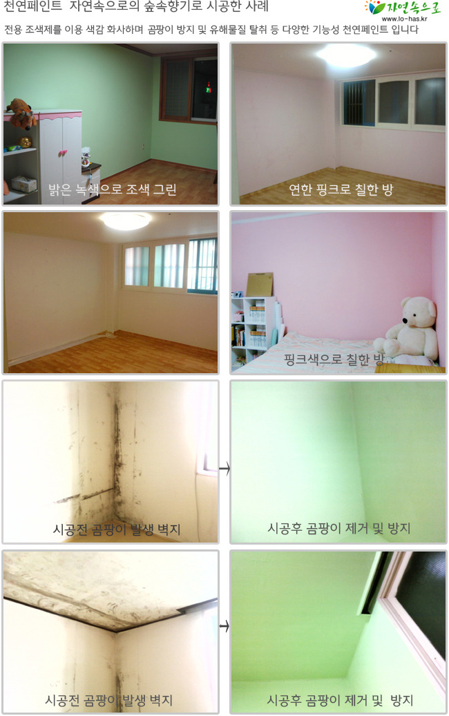 광페인트 이미지