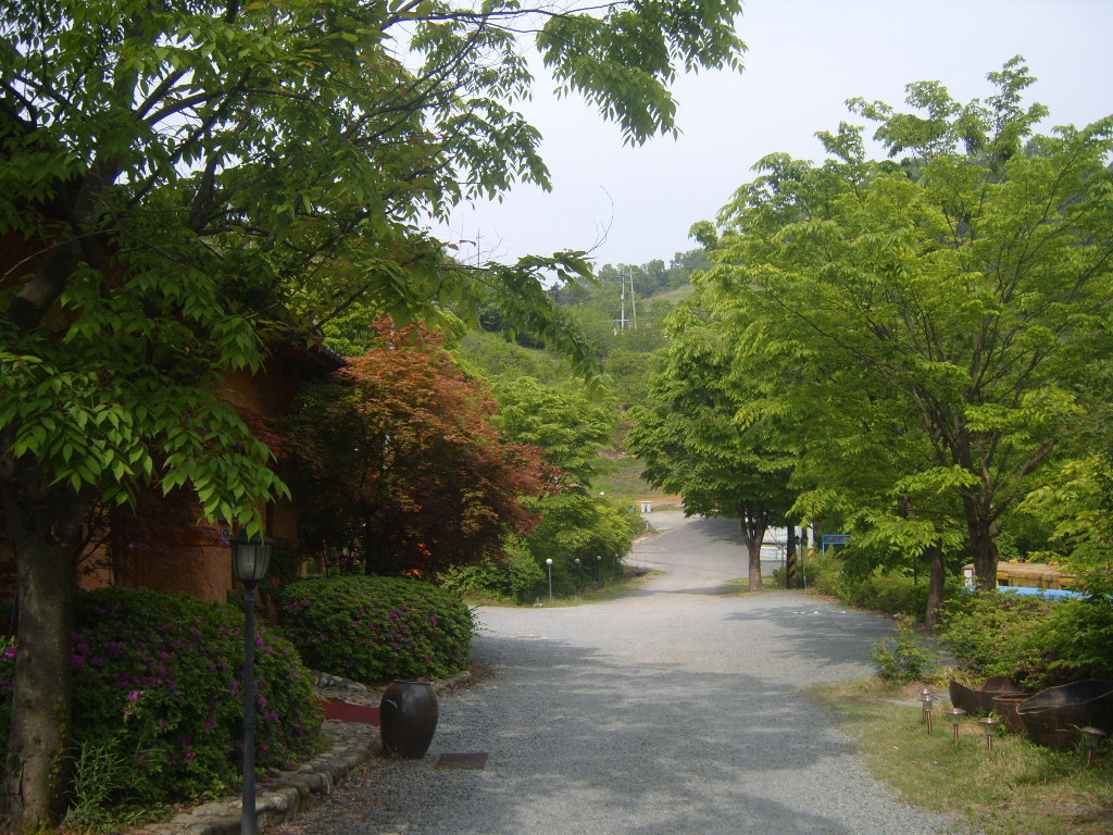 청도랜드 이미지