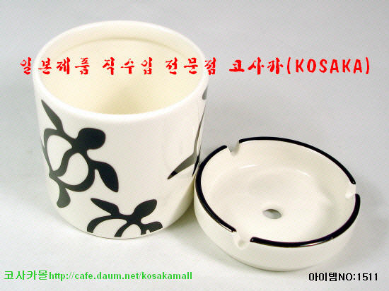 거북이 몰 이미지