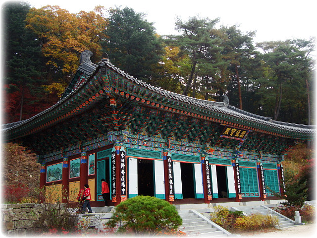 강원산소 이미지