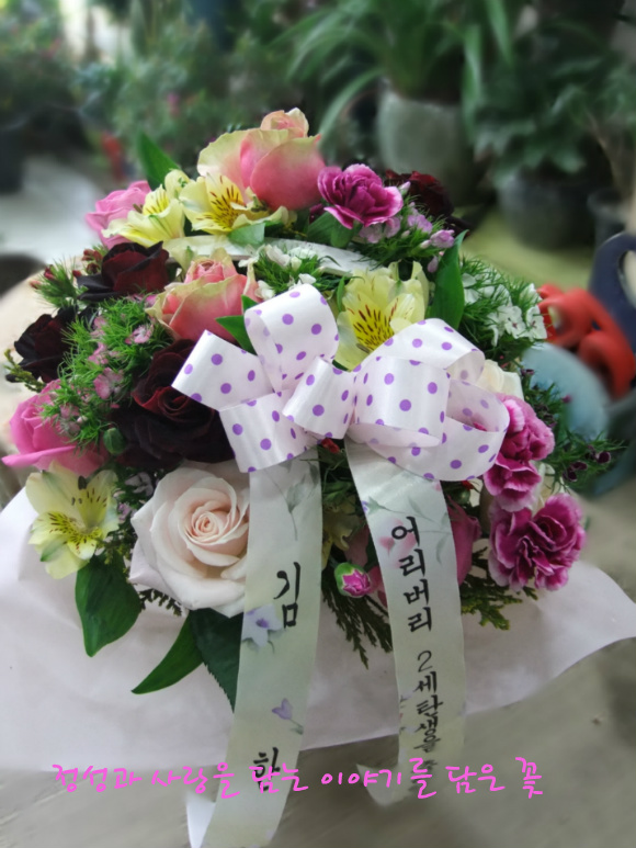 모아산부인과병원 이미지