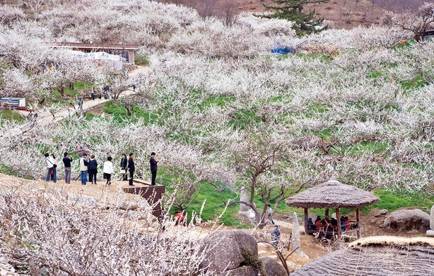외국보다 더 예쁜 우리나라 풍경.jpg | 인스티즈