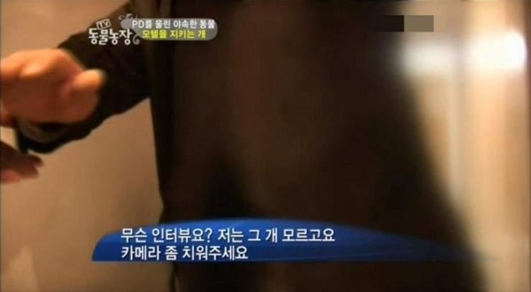 모텔 단골을 알아보는 멍멍이.jpg | 인스티즈
