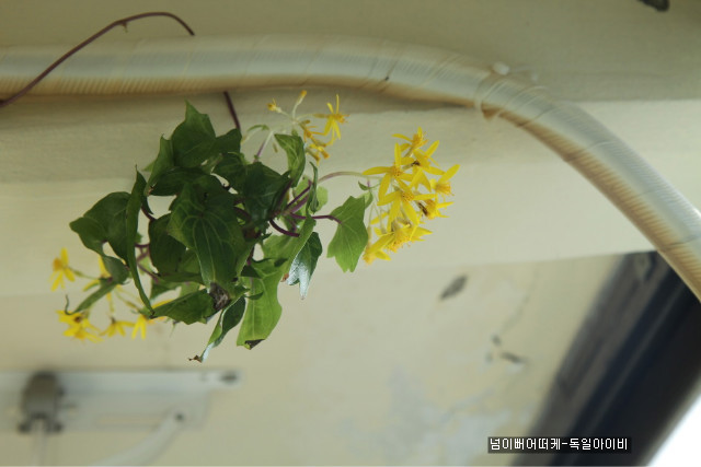 인더무드 이미지