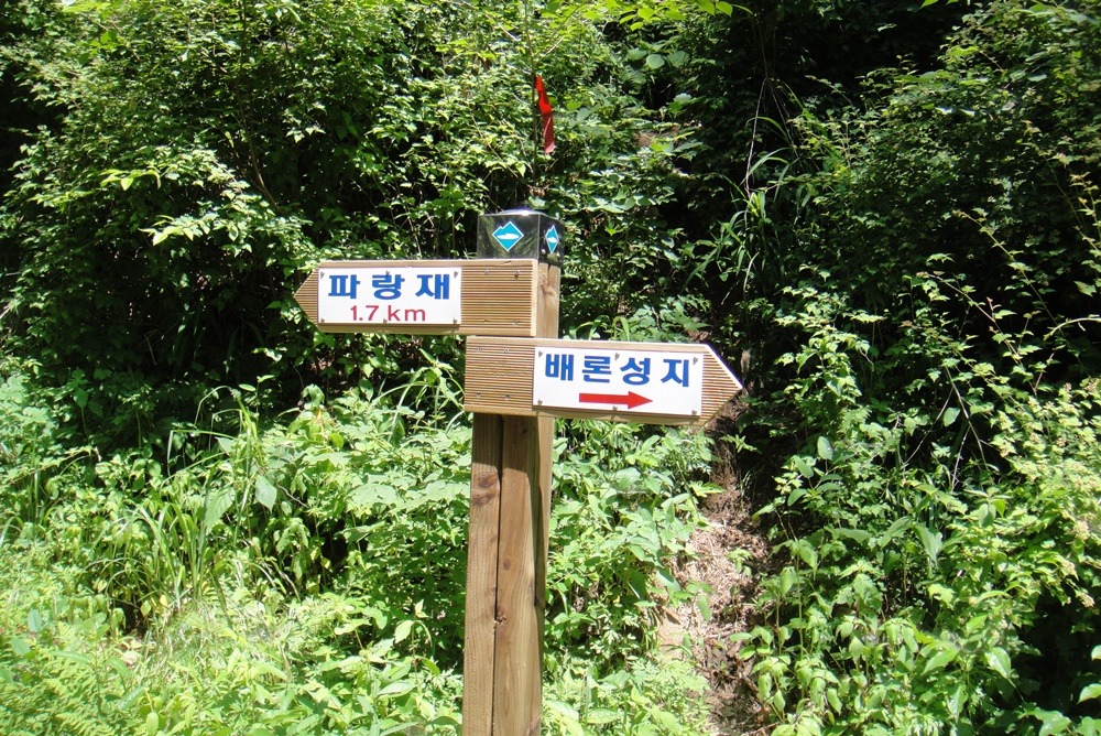 배론의아침 이미지