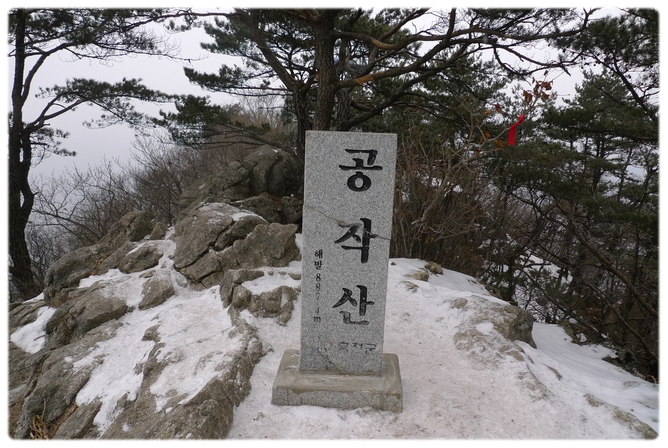 금영주유소 이미지