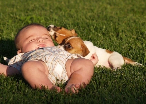 바라만 봐도 마음이 깨끗해지고 기분이 좋아짐..jpg | 인스티즈