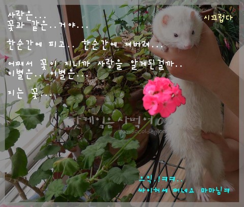 잠티 이미지