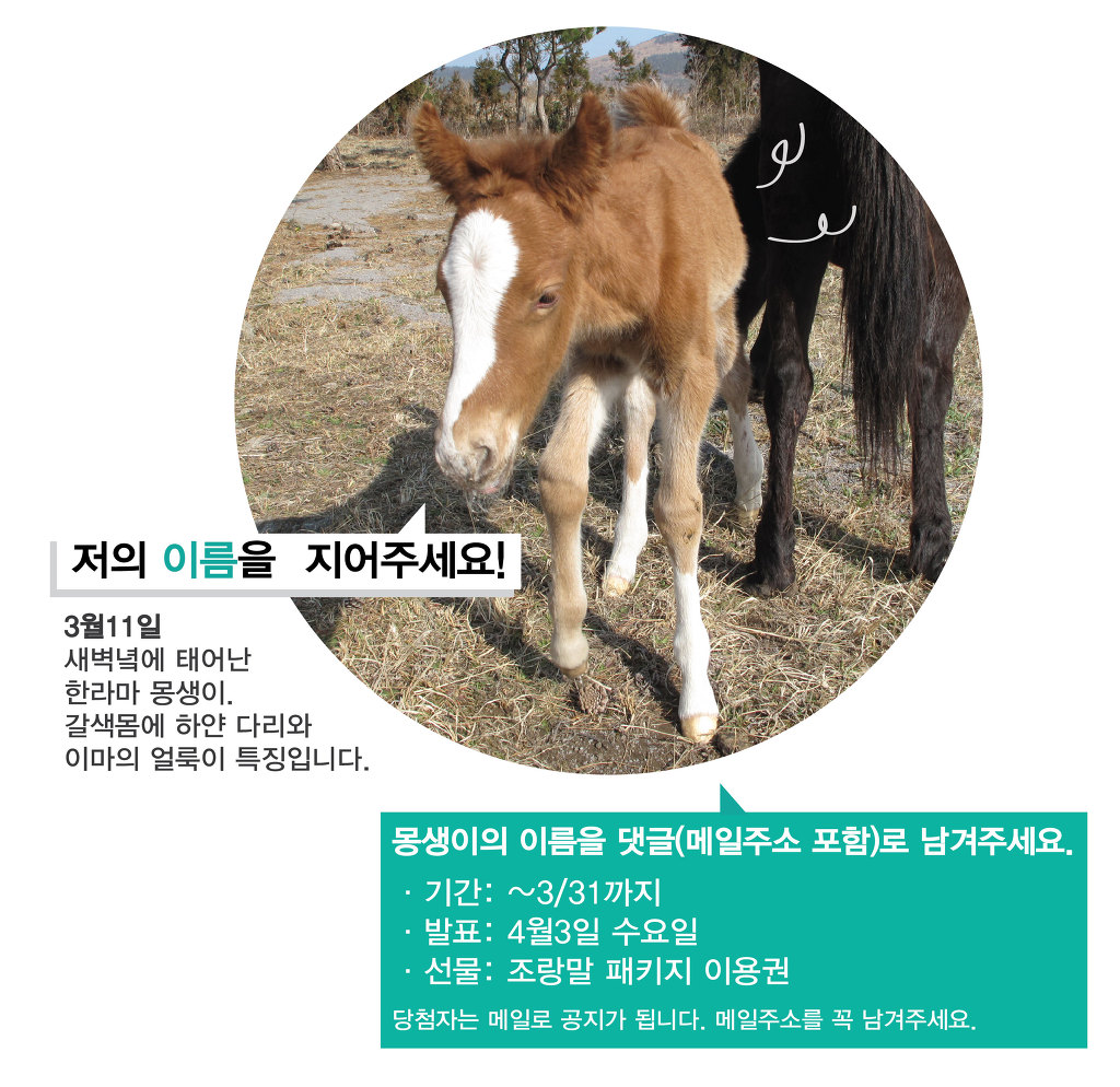 몽생이 이미지