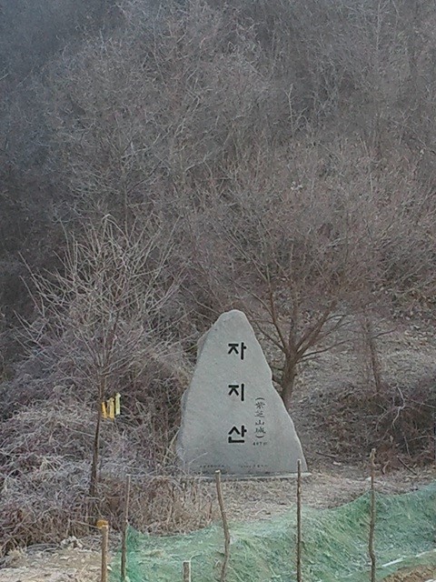 때깔 이미지