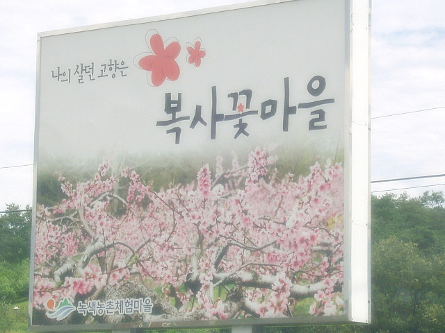 삼교리원조동치미막국수 이미지