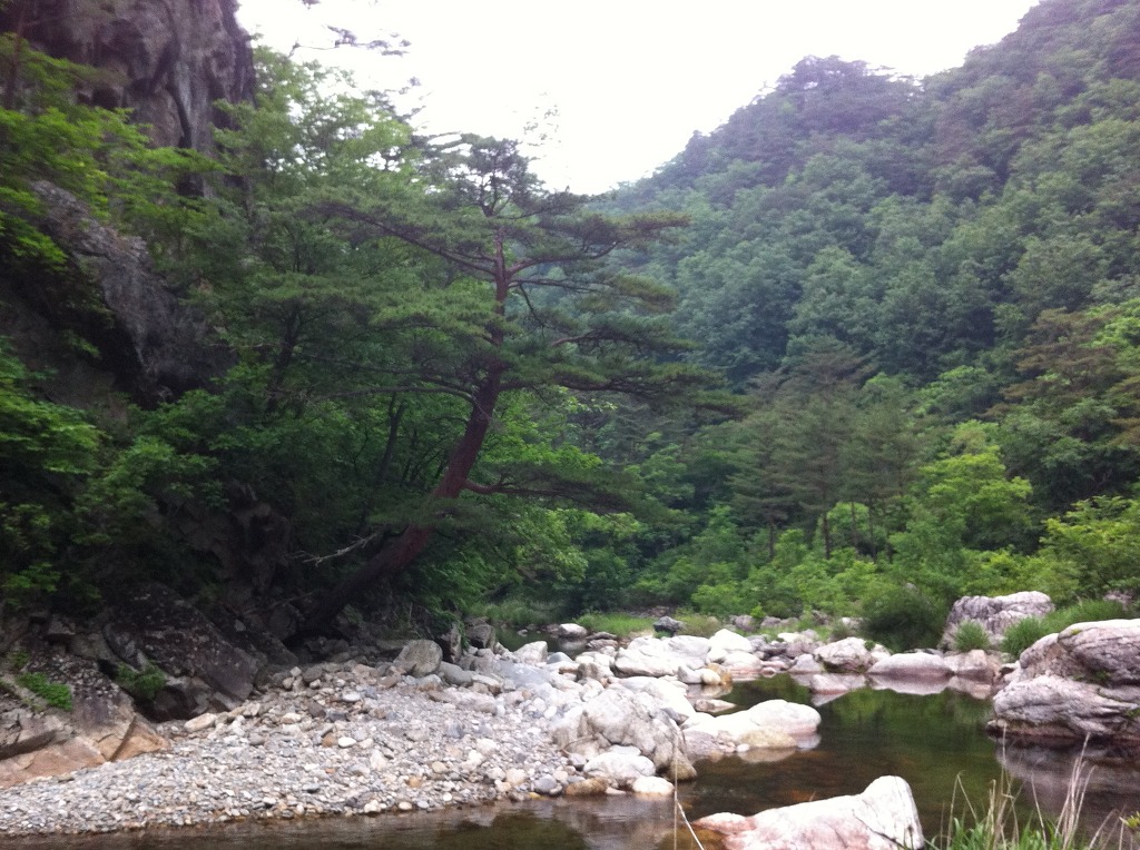 꿈꾸는유배지늡다리 이미지