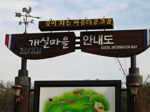 마을물고기 이미지