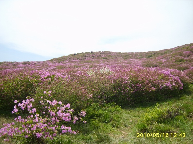 산불감시초소로 예상됨 이미지