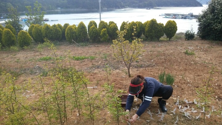 삼향농원 이미지