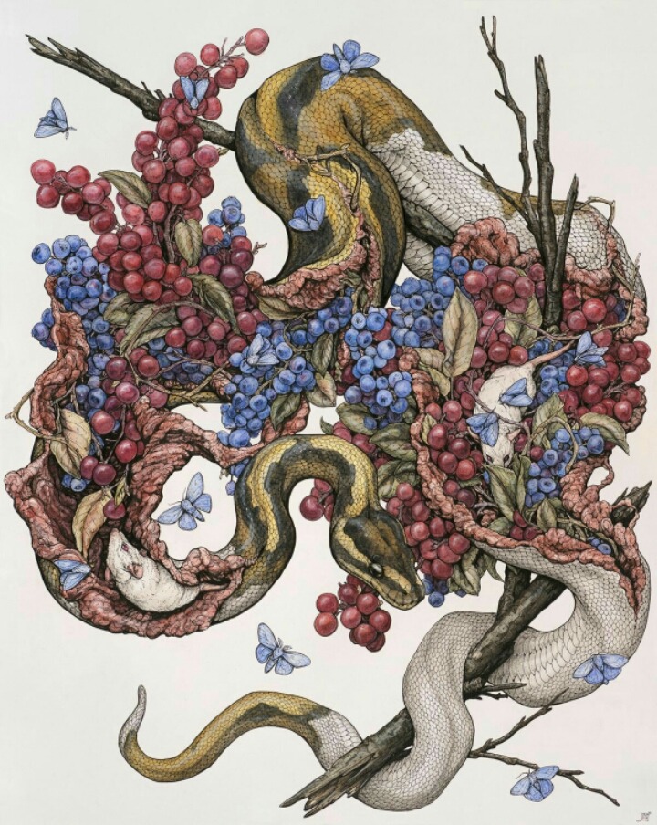 Lauren Marx의 독특한 일러스트레이션 (혐오주의) | 인스티즈