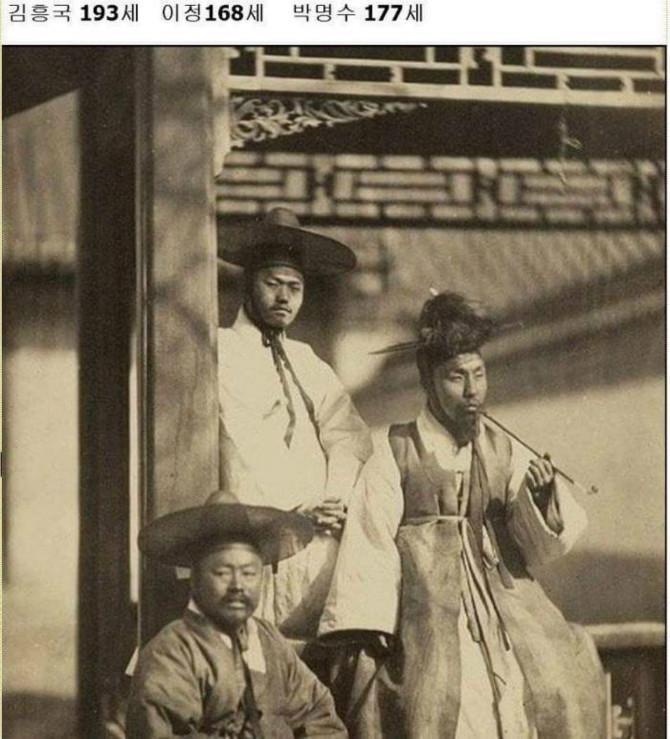 백년전에 이미지