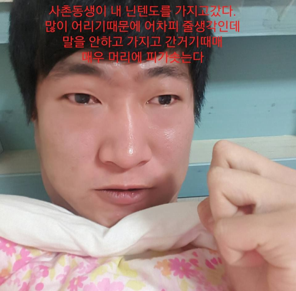 조카에게 닌텐도를 빼앗긴 한 남자 이야기 | 인스티즈