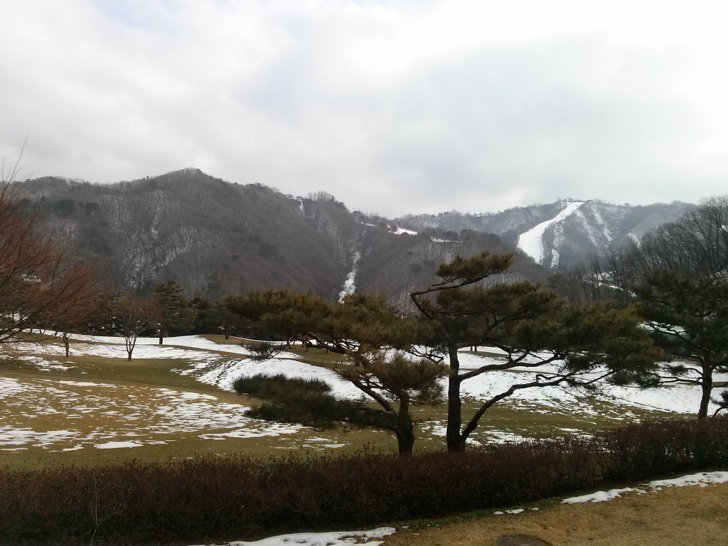 일오일 이미지