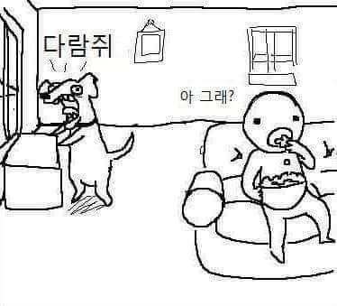 강아지 공감 | 인스티즈