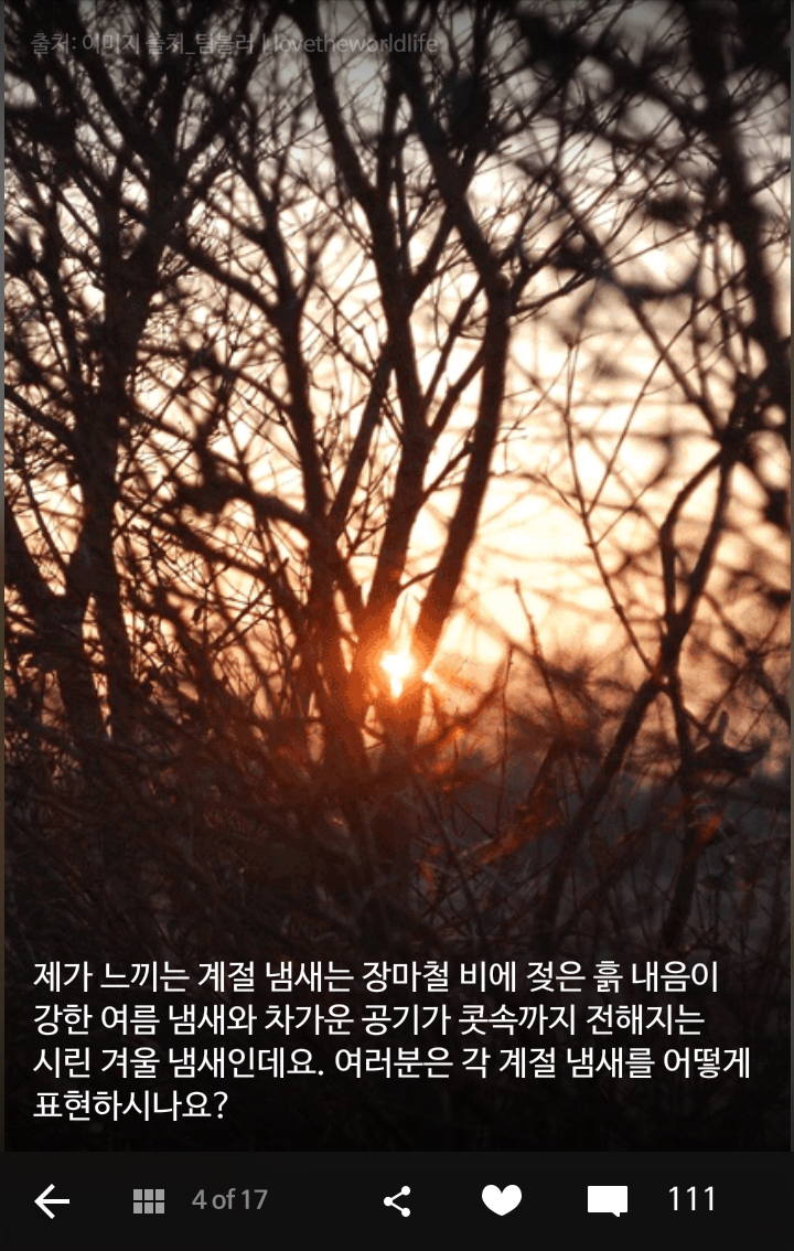 후각이 민감한 당신이 한번쯤 맡아 봤을 냄새들 | 인스티즈