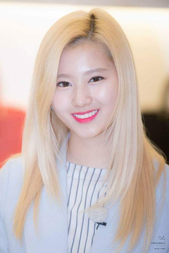 샤니빵 보다는 사나 | 인스티즈
