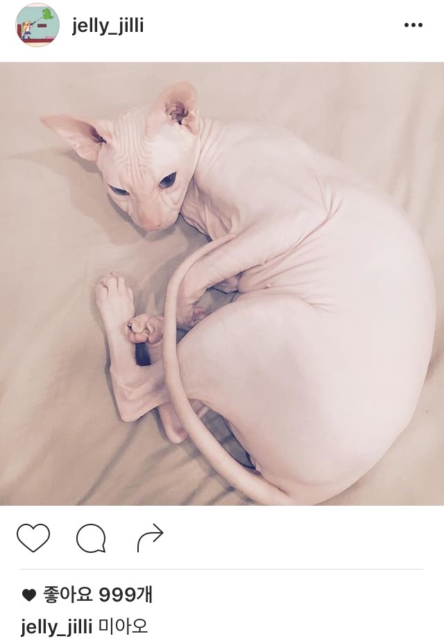 설리 인스타 | 인스티즈