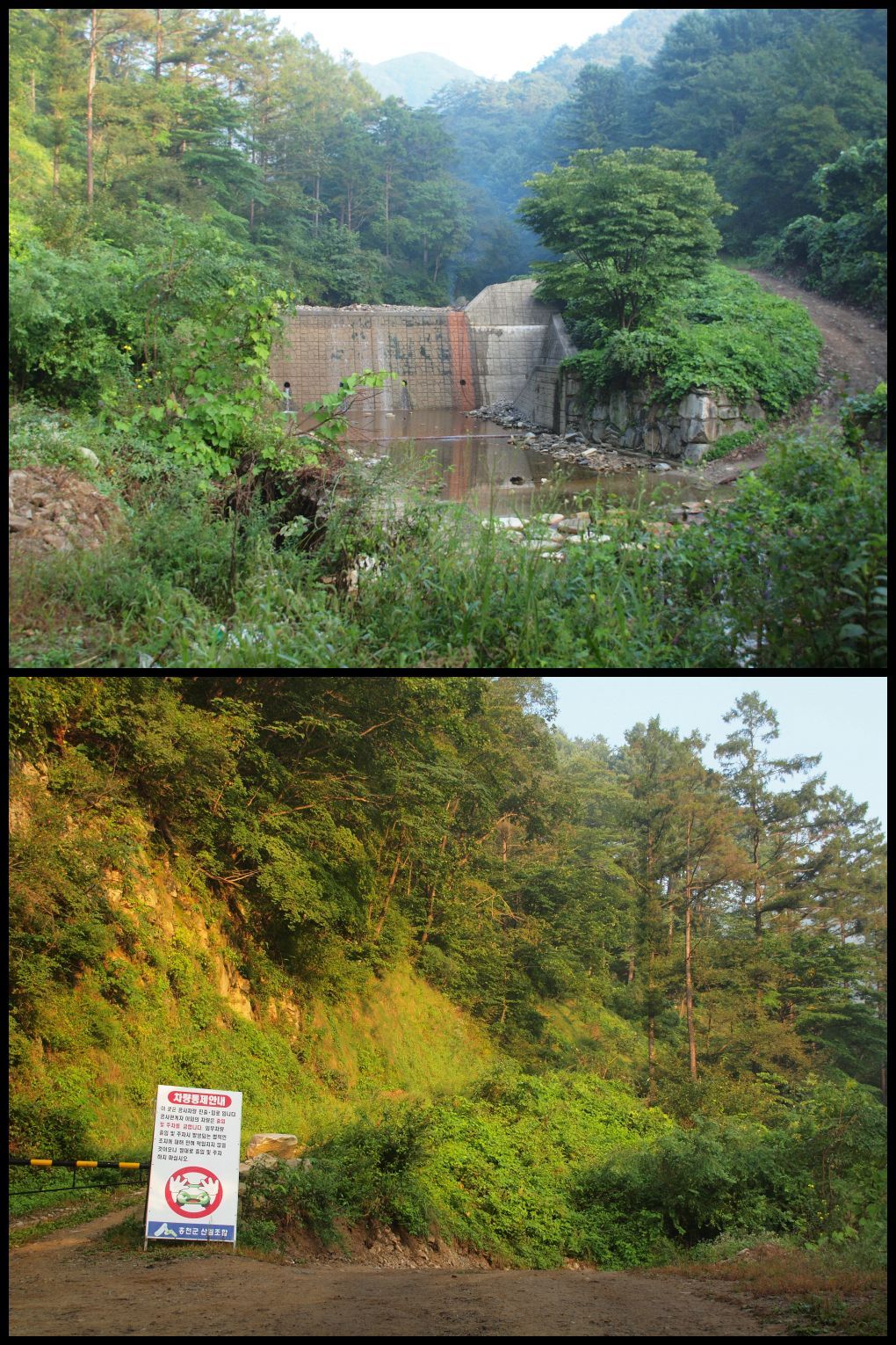 고길동캠핑장 이미지