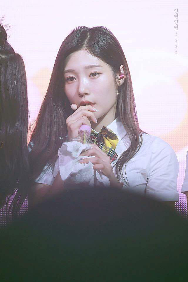 오늘도 댕한 댕챙 | 인스티즈