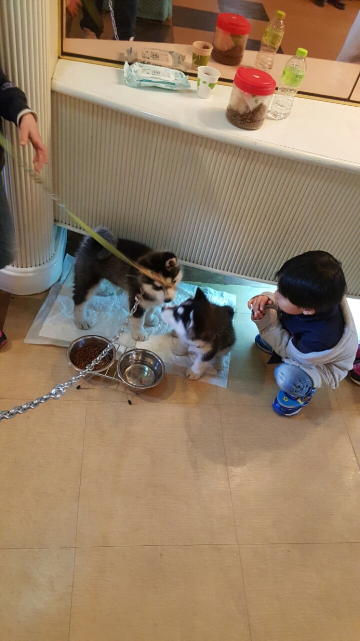 오늘은 제주 이미지