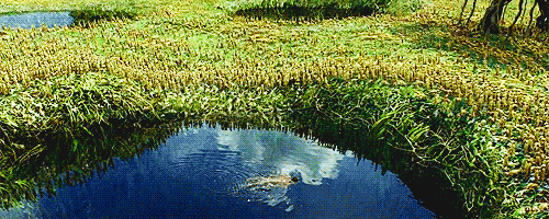 많은 사람들이 극장에서 보지못한걸 후회하는 영화 | 인스티즈