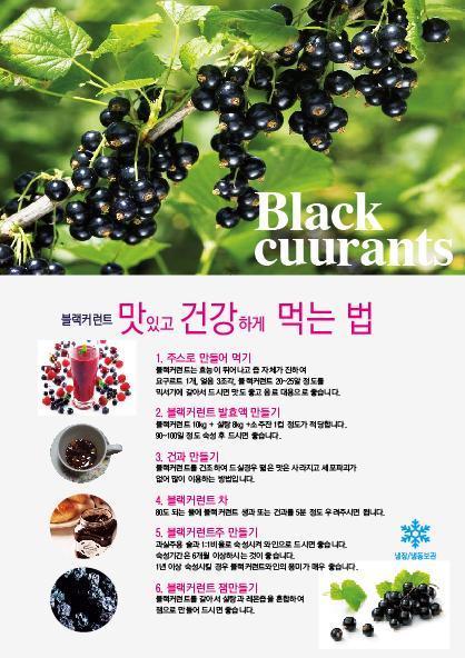 왕베리농원 이미지