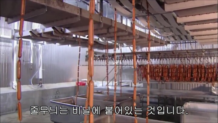 핫도그 소시지가 만들어지는 과정-2 | 인스티즈