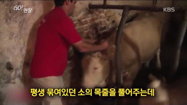 감사함을 아는 동물 | 인스티즈