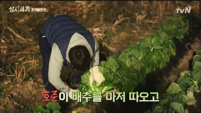 [삼시세끼] 최지우한테 작업거는 이서진(feat.해태)ㅋㅋㅋㅋㅋㅋㅋㅋㅋ.jpg | 인스티즈