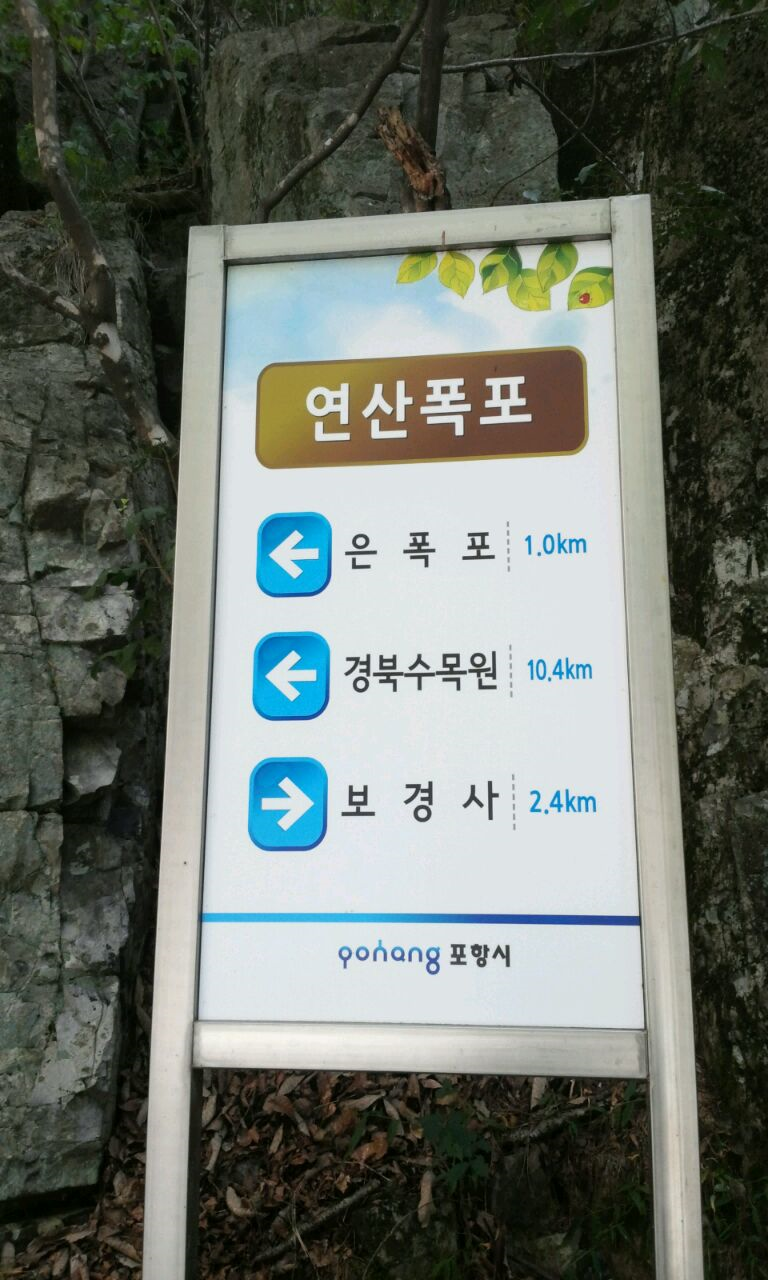 상옥프로폴리스 이미지