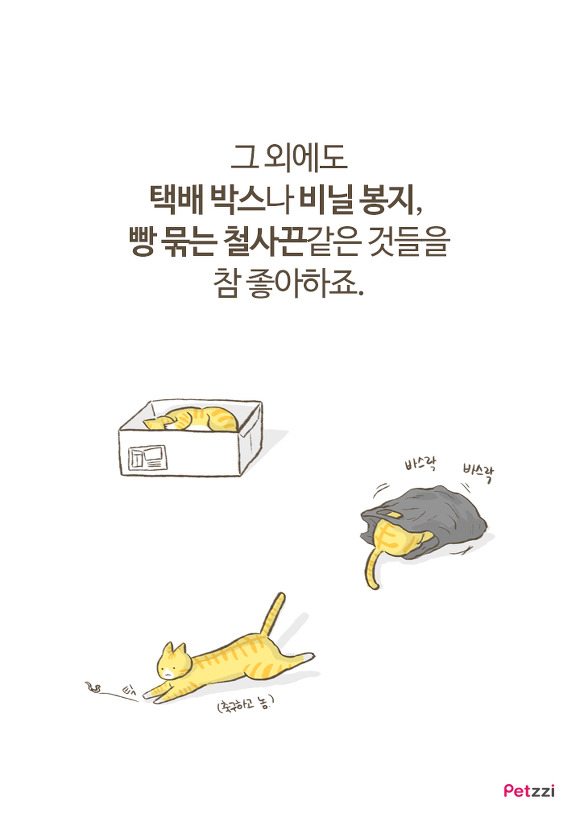 고양이 키우다 보면 느끼는 고양이의 소소한 취향.jpg | 인스티즈