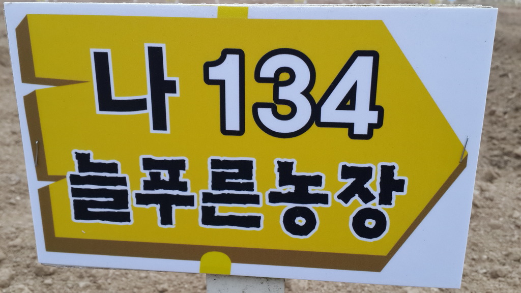 늘푸른농장 이미지