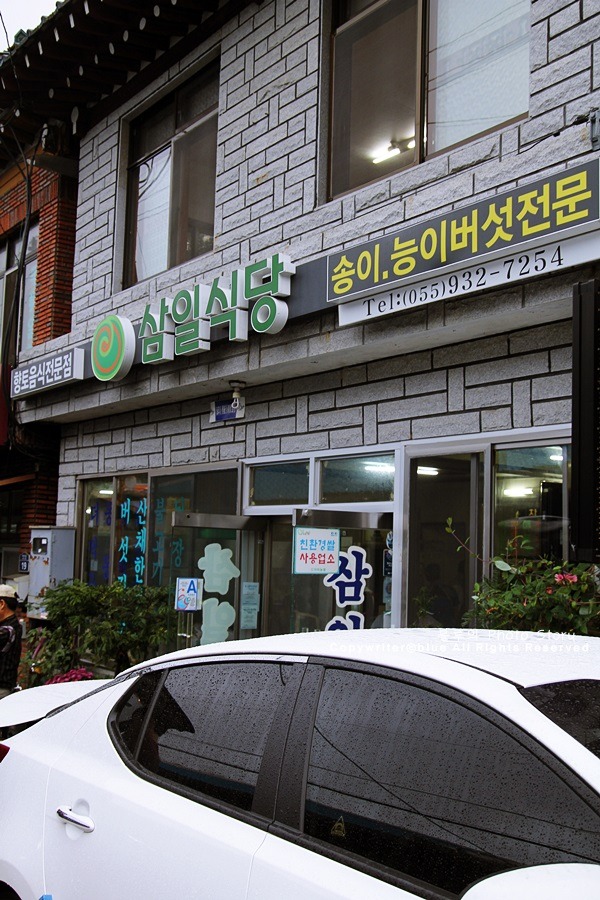 삼일투어 이미지