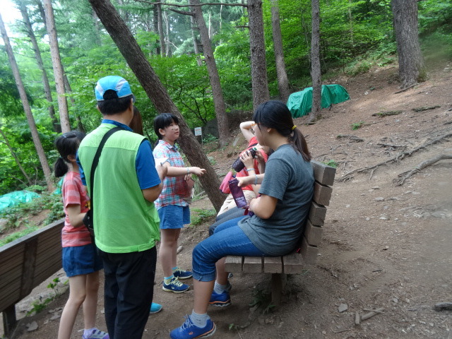 호평초등학교 이미지