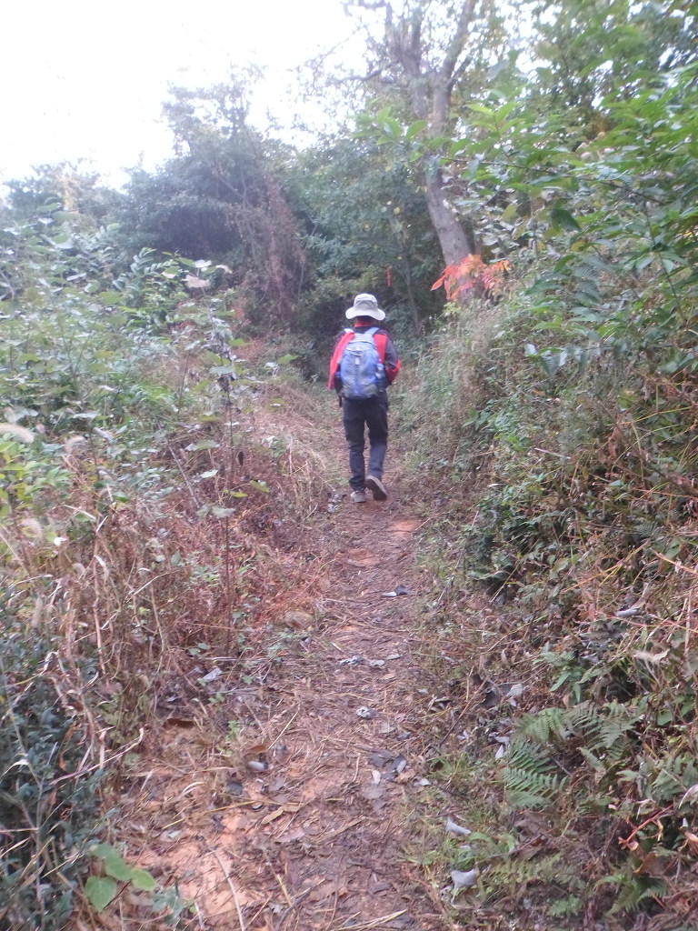 명성주유소 이미지